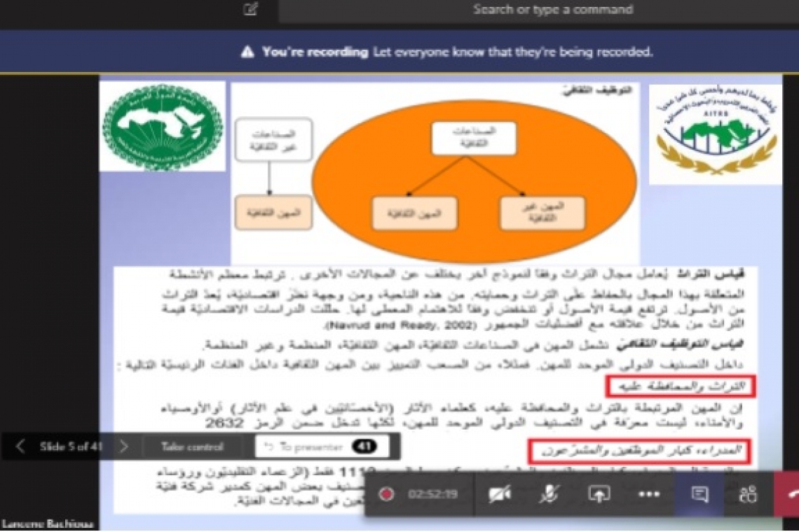 الورشة التدريبية عن بعد حول  احصائيات الثقافة والترفيه