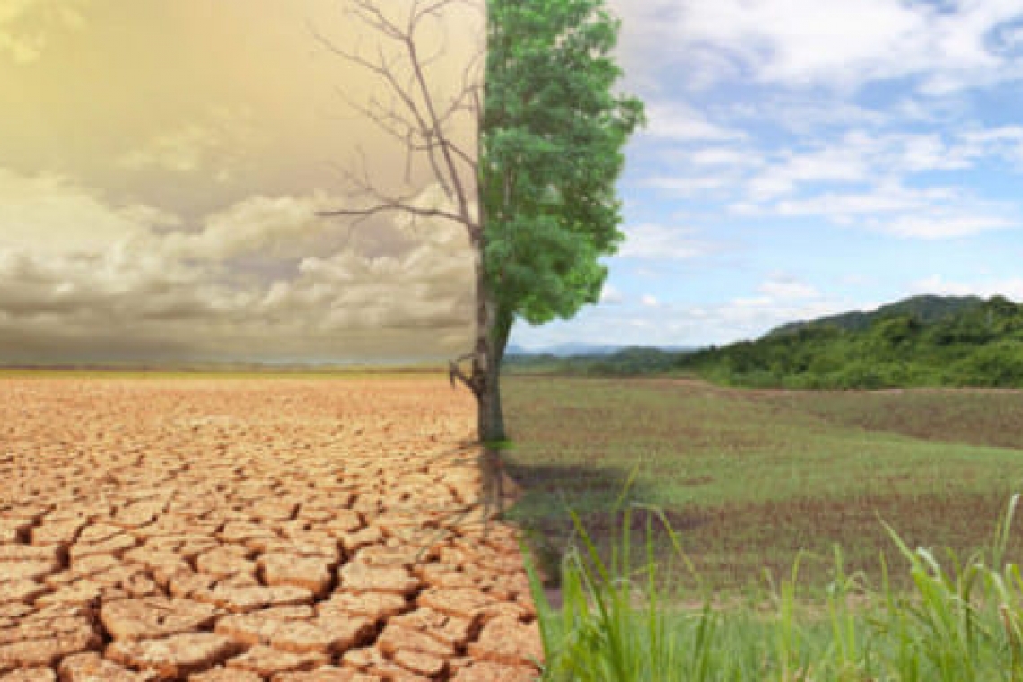 بيان الألكسو بمناسبة اليوم العالمي لمكافحة التصحر والجفاف