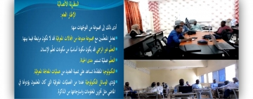 الألكسو تواصل تنفيذ مبادرتها   (مسارات  للتدريب)  لفائدة الصومال وجيبوتي وجزر القمر