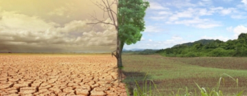 بيان الألكسو بمناسبة اليوم العالمي لمكافحة التصحر والجفاف