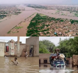 ALECSO calls for urgent plan to support flood response in Sudan