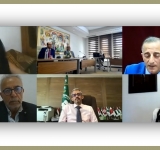   Webinar on Youth and Development in the Arab World
