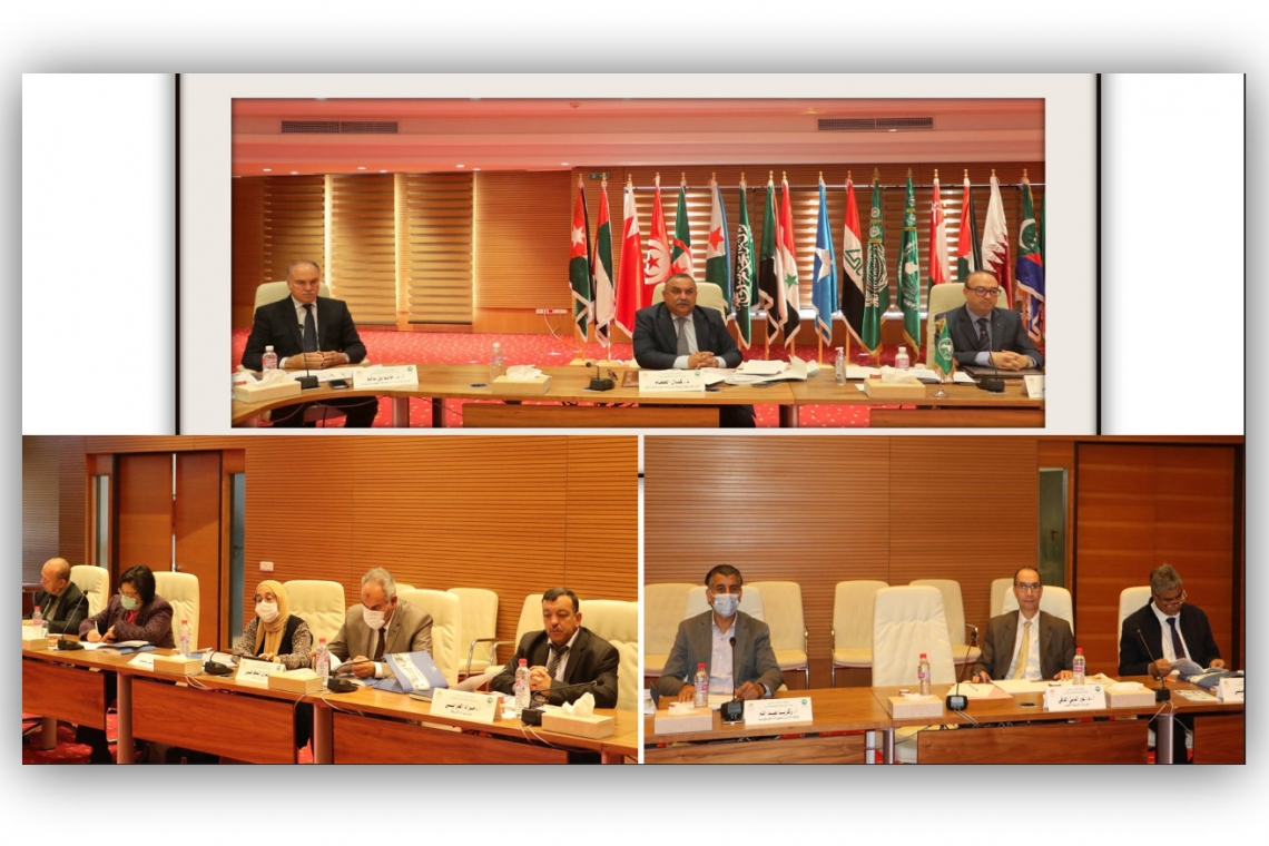 Expert Meeting of the 12th Conference of Arab Education Ministers