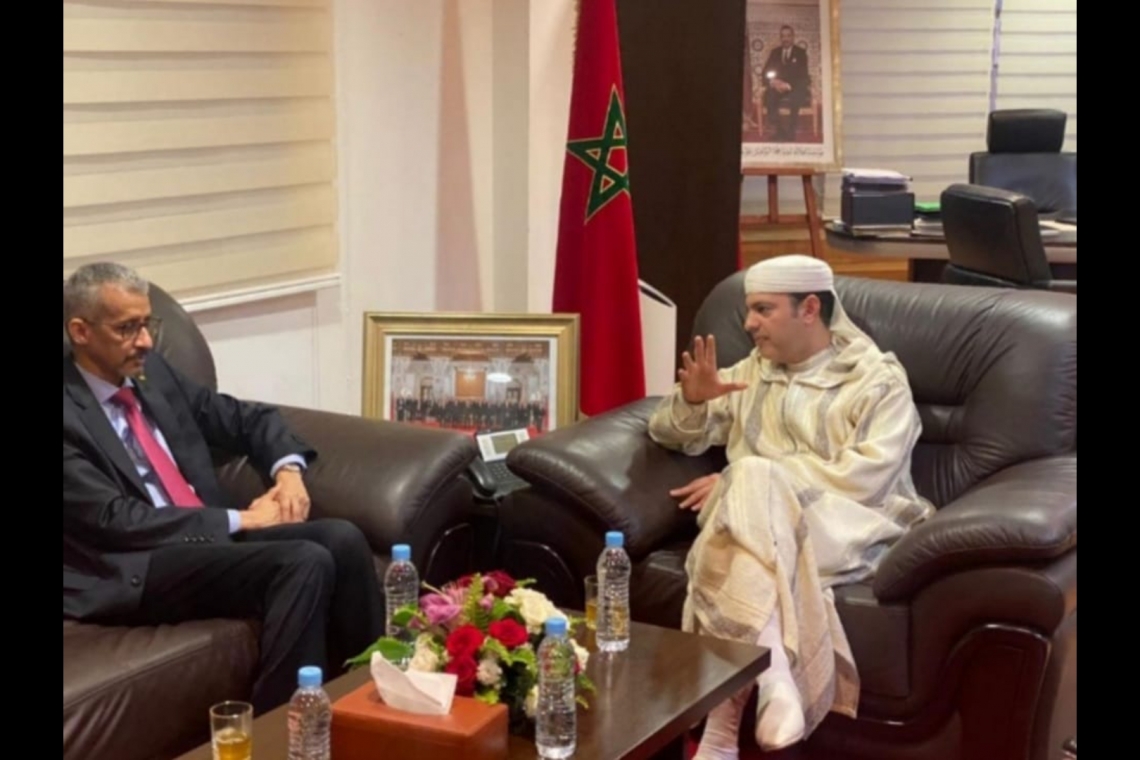 ALECSO Director-General meets with Moroccan Minister of Economic Inclusion, Small Business, Employment and Skills