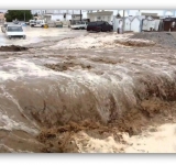 ALECSO offers condolences to Oman over flood victims 