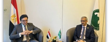 المدير العام للألكسو يلتقي وزير الثقافة بجمهورية مصر العربية