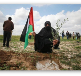 ALECSO Statement on Palestinian Land Day