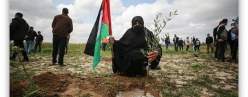 بيان الألكسو بمناسبة يوم الأرض الفلسطيني